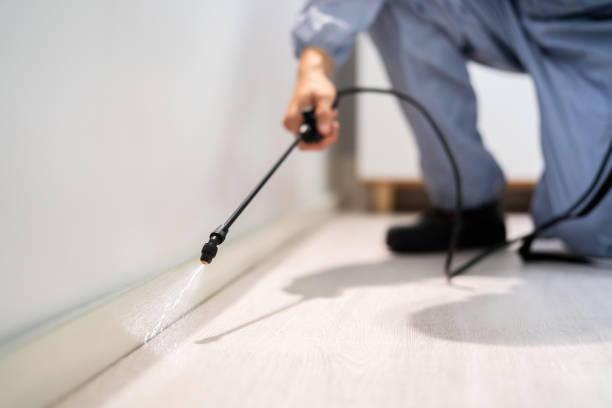 Professional exterminator conducting IPM assessment in Enosburg Falls
