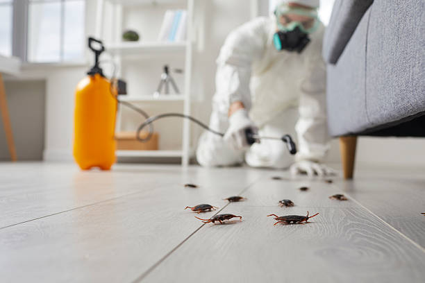 Commercial Kitchen Cockroach Control in Enosburg Falls